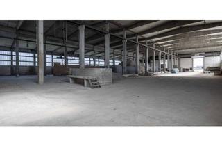 Gewerbeimmobilie kaufen in Günztalstraße 120, 86489 Deisenhausen, Produktionshallen mit Bürogebäude, Unterstellhallen und Freiflächen