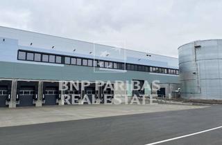 Gewerbeimmobilie mieten in 91287 Plech, Neubau von Lager- und Produktionsflächen an der A9 zwischen Nürnberg und Bayreuth