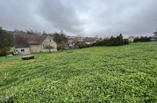 Grundstück zu kaufen in Wolfsgefärth 11, 07557 Zedlitz, Großes Grundstück in Wolfsgefärth – sonniger Garten und Altbestand auf 2.151 m²