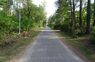 Grundstück zu kaufen in Uhlandstr. 51, 14547 Beelitz, Attraktives Baugrundstück in ruhiger Lage
