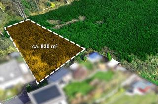 Grundstück zu kaufen in 51702 Bergneustadt, Möglichkeit zur freien Entfaltung – unbebautes Grundstück in naturnaher Lage