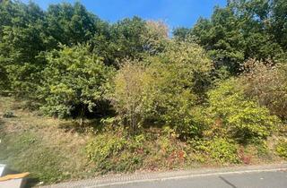 Grundstück zu kaufen in 63834 Sulzbach, Ein Grundstück mit Weitblick – und vielen Möglichkeiten!