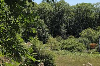 Grundstück zu kaufen in 71577 Großerlach, Mitten in der Natur - Großzügiges Grundstück in ruhiger Lage