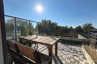 Wohnung mieten in Bevenser Weg, 30625 Heideviertel, Beziehen Sie ein helles 1-Zimmer-Appartment mit EBK und Dachterrasse im Heideviertel - Hannover!