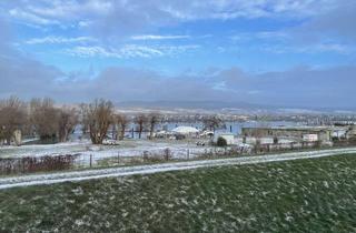 Wohnung mieten in 55218 Ingelheim, Möblierte 2-3ZKB-Wohnung mit Kamin und Rheinblick