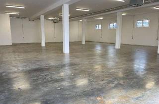 Gewerbeimmobilie kaufen in 64711 Erbach, Gewerbehallen mit hochwertiger Bausubstanz