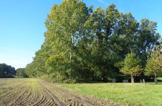 Immobilie kaufen in 47647 Kerken, Waldgrundstück mit Streuobstwiese