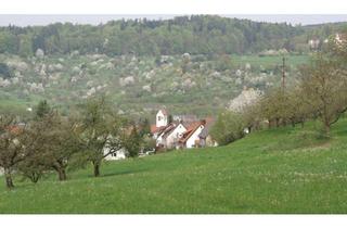 Gewerbeimmobilie kaufen in 73547 Lorch, Landwirtschaftliche Grundstücke bei Waldhausen zu verkaufen!