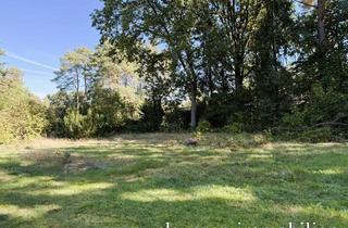 Immobilie kaufen in 21279 Hollenstedt, 917 m² Baugrundstück in Eversen-Heide – naturnah wohnen mit viel Privatsphäre