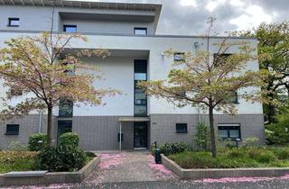 Wohnung mieten in Am Schönenkamp 151, 40599 Hassels, Attraktive 2-Zimmer-Seniorenwohnung (ab 60 Jahren) mit Loggia in D-Hassels