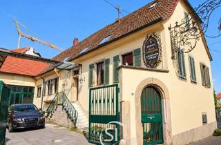 Wohnung mieten in 67169 Kallstadt, Großzügige und gepflegte 4 ZKB-Mietwohnung *direkt an der Weinstraße*