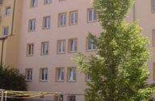 Wohnung mieten in Linnestr. 26, 90443 Steinbühl, Großzügige Dreizimmerwohnung im Hochparterre