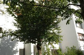 Wohnung mieten in Karl-Witthalm-Str. 19, 81375 Hadern, Erstbezug nach Sanierung! schöne 3 Zimmer EG -Wohnung mit Essdiele und Süd/West Terrasse