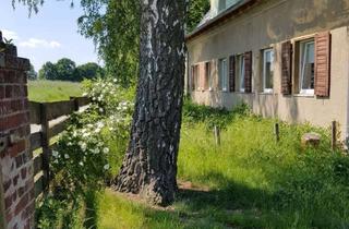 Wohnung mieten in 15859 Storkow, ruhig und abgeschieden 60 km südöstlich von berlin