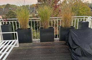 Wohnung mieten in 45134 Stadtwald, Hochwertig sanierte Wohnung Wohnung mit 2 Balkonen, Garten und Weitblick in Essen-Stadtwald