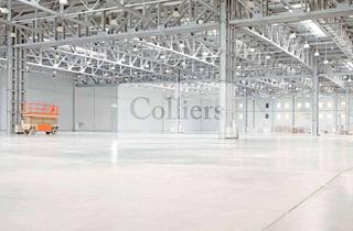 Gewerbeimmobilie mieten in 32052 Herford, Moderne Logistikfläche in Herford | 9 Überladebrücken | Verfügbar ab Juni 2027