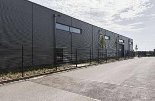 Büro zu mieten in 51709 Marienheide, Hochwertige Lager-/Produktionshalle mit modernem Bürogebäude und guter Verkehrsanbindung in Marienhe