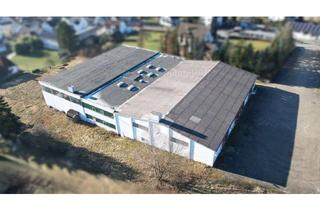 Gewerbeimmobilie kaufen in 96237 Ebersdorf, Lager und Produktionshallen - Ebersdorf!