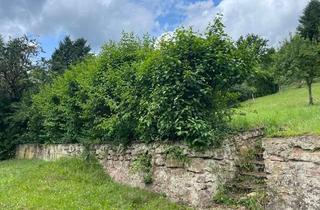 Grundstück zu kaufen in 63924 Rüdenau, Auf der Sonnenseite - bebaubares Grundstück im Wochenendgebiet