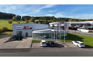 Lager mieten in 35239 Steffenberg, Top-gepflegte Logistik- & Gewerbehalle mit klimatisierten Büros, Lkw-Rampen und 10 Stellplätzen