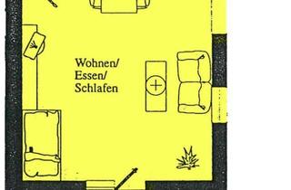 Wohnung mieten in 01705 Freital, Bezaubernde Wohnung mit Balkon! Grün und ruhig! EBK!