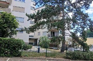 Wohnung mieten in 61476 Kronberg, kleines Apartment mit Balkon - ruhige Lage , geeignet für Wochenendfahrer !