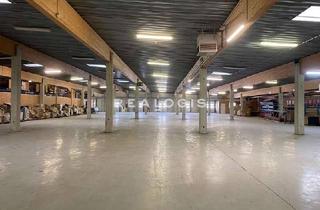 Gewerbeimmobilie mieten in 23823 Seedorf, Seedorf-Schlamersdorf, ca. 2.000 m² Lagerflächen zu vermieten