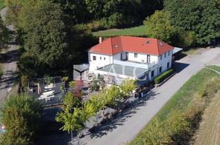 Villa kaufen in 69429 Waldbrunn, Landgut Katzenbuckel – Ein außergewöhnlicher Ort mit Geschichte und vielfältigen Möglichkeiten