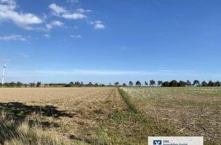 Gewerbeimmobilie kaufen in 33154 Salzkotten, Landwirtschaftliche Fläche
