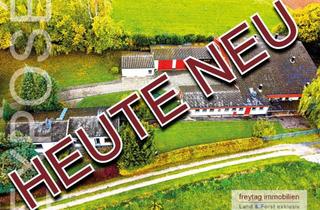 Lager kaufen in 37284 Kirchhosbach, Ein idyllischer Traum für Mensch und Pferd