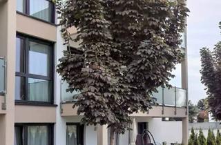 Wohnung kaufen in Königsteiner Straße 26, 65193 Wiesbaden, Moderne Eigentumswohnung