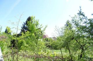 Wohnung kaufen in Scipiostraße 24, 68723 Plankstadt, Neubau Erdgeschosswohnung in KfW 40 QNG - mit zusätzlichem Apartment, eigenem Garten und Kühloption
