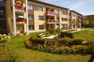 Wohnung mieten in Hildebrandstr. 60, 31135 Hildesheim, Service-Wohnen für Senioren! 2-Zimmer-Wohnung mit Balkon
