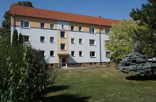 Wohnung mieten in Pirnaer Straße 19a, 01809 Heidenau, Tolle 2-Raum-Wohnung in Bahnhofsnähe!