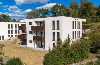 Wohnung mieten in Medizinalratsklinge 41, 74592 Kirchberg, Panoramablick 3-Zi.-Whg. im EG mit Balkon | KI01_04