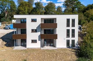 Wohnung mieten in Medizinalratsklinge 41, 74592 Kirchberg, Nachhaltige 2-Zi.-Whg. im Hangeschoss mit Garten | KI01_02
