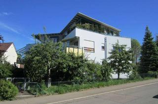 Penthouse mieten in Behringstraße 41, 72766 Reutlingen, 2-Zimmer-Penthouse-Wohnung, gehobener Standard