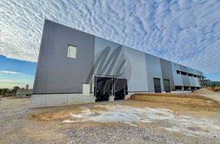 Büro zu mieten in 40721 Hilden, KEINE PROVISION ✓ NEUBAU / ERSTBEZUG ✓ Lager-/Logistik (6.800 m²) mit Büro zu vermieten