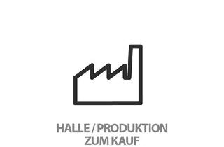 Gewerbeimmobilie kaufen in 07985 Elsterberg, Lagerhalle mit Außenfläche