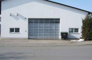 Büro zu mieten in 85235 Odelzhausen, Top Gewerbehalle mit Bürofläche - Odelzhausen Gewerbegebiet - direkt A8 München Stuttagart