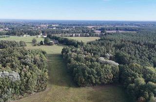 Grundstück zu kaufen in 03149 Forst, 0,5 ha Waldfläche
