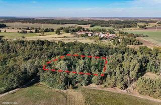 Grundstück zu kaufen in 39264 Hohenlepte, 0,8 ha Waldfläche - ehemalige Deponie