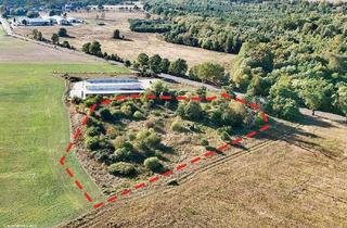 Grundstück zu kaufen in 39261 Zerbst, 1 ha Waldfläche - ehemalige Deponie