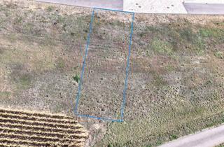 Grundstück zu kaufen in 74921 Helmstadt-Bargen, Ihr Platz am Feldrand – 273 m² - Provisionsfrei