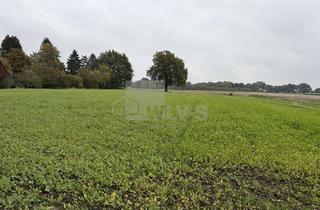 Gewerbeimmobilie kaufen in 49509 Recke, Ca. 1,7582 ha Acker- und Grünland in Recke