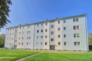 Wohnung mieten in Oderstr. 42, 51371 Rheindorf, 4-Zimmer-Wohnung mit Balkon in Rheindorf
