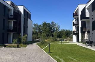 Wohnung mieten in Illenauer Straße 49/1, 77855 Achern, 2-Zimmer Wohnung mit Terrasse Richtung Park