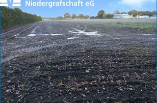 Immobilie mieten in 49847 Itterbeck, Landwirtschaftliche Nutzfläche (Ackerland) in Itterbeck zu verpachten