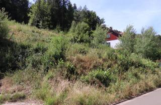 Immobilie kaufen in 66851 Horbach, Baugrundstück mit Waldanteil in 66851 Horbach zu verkaufen!
