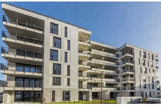 Wohnung mieten in Rathausgasse, 12529 Schönefeld, Helle 2-Zimmer-Neubauwohnung mit Südost-Balkon, Fernblick und Einbauküche